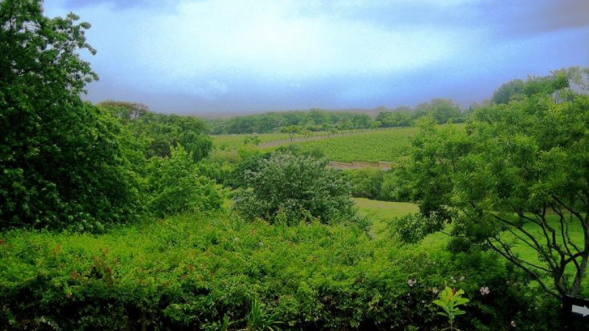 Zones protégées : Ramaphosa lance un appel à un soutien mondial