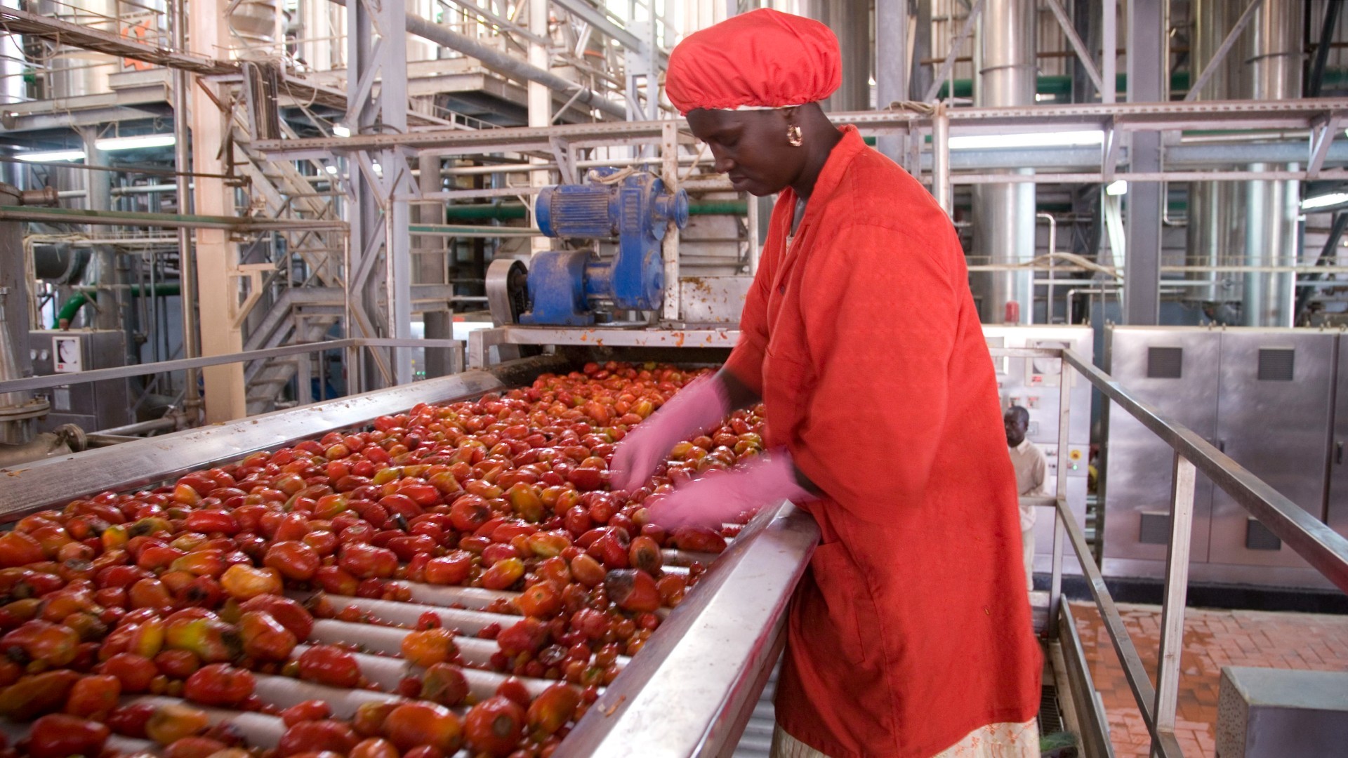 Fii Senegal 2025 pour attirer les investisseurs au Pays de la Teranga