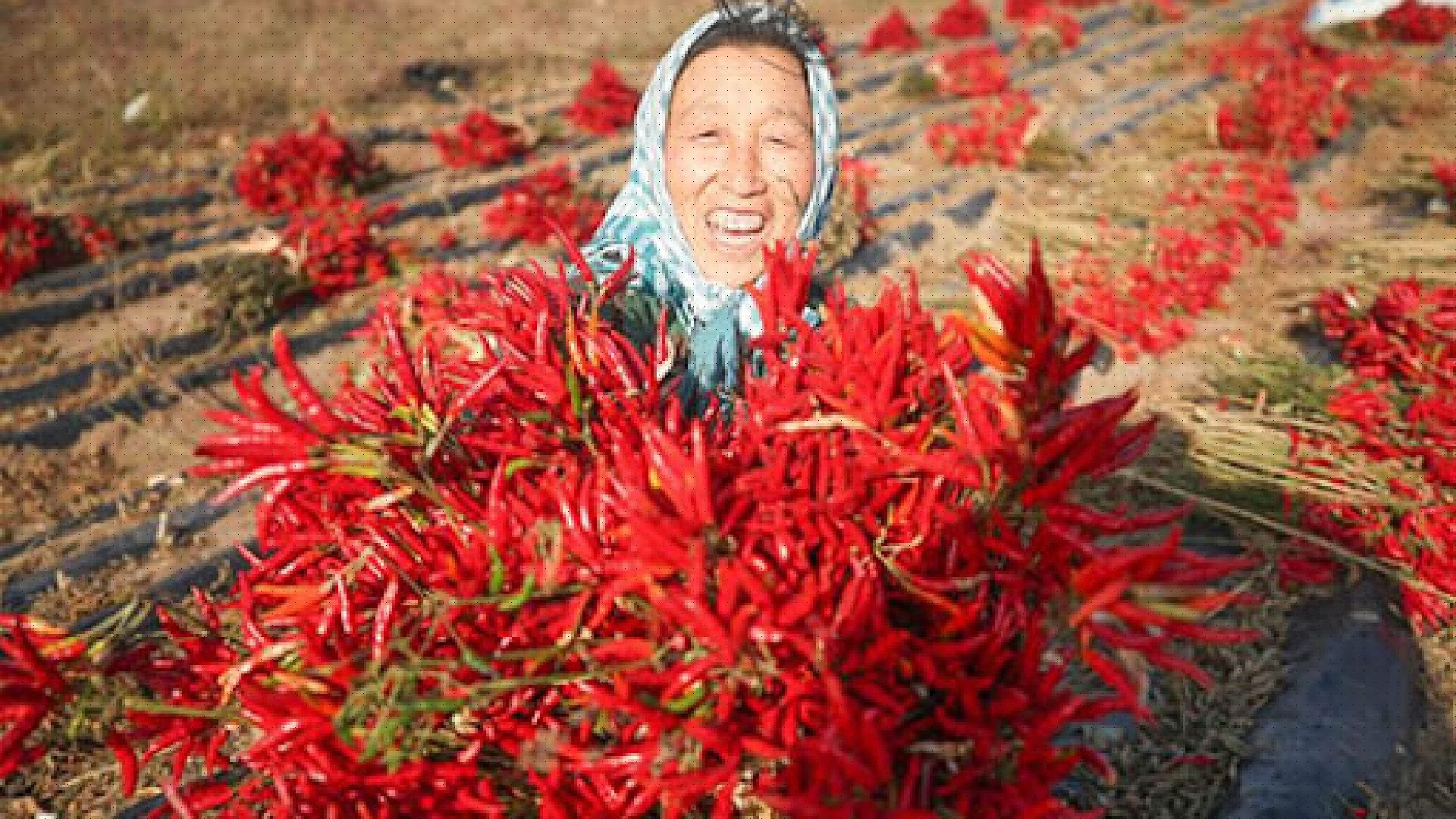 Les produits agro-alimentaires africains s’invitent dans les foyers chinois