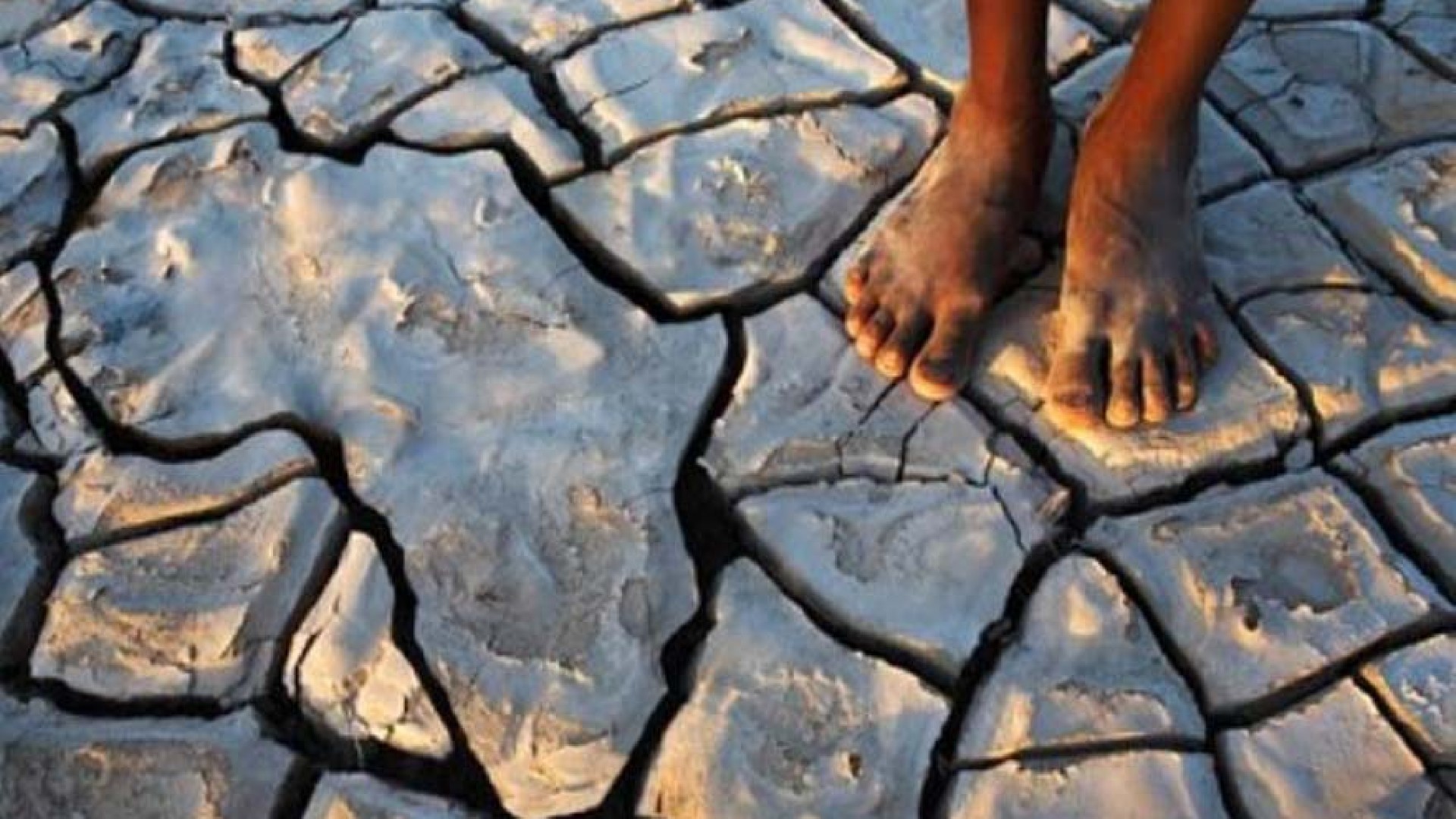 Climat : l’Afrique sur le pont à Addis-Abeba